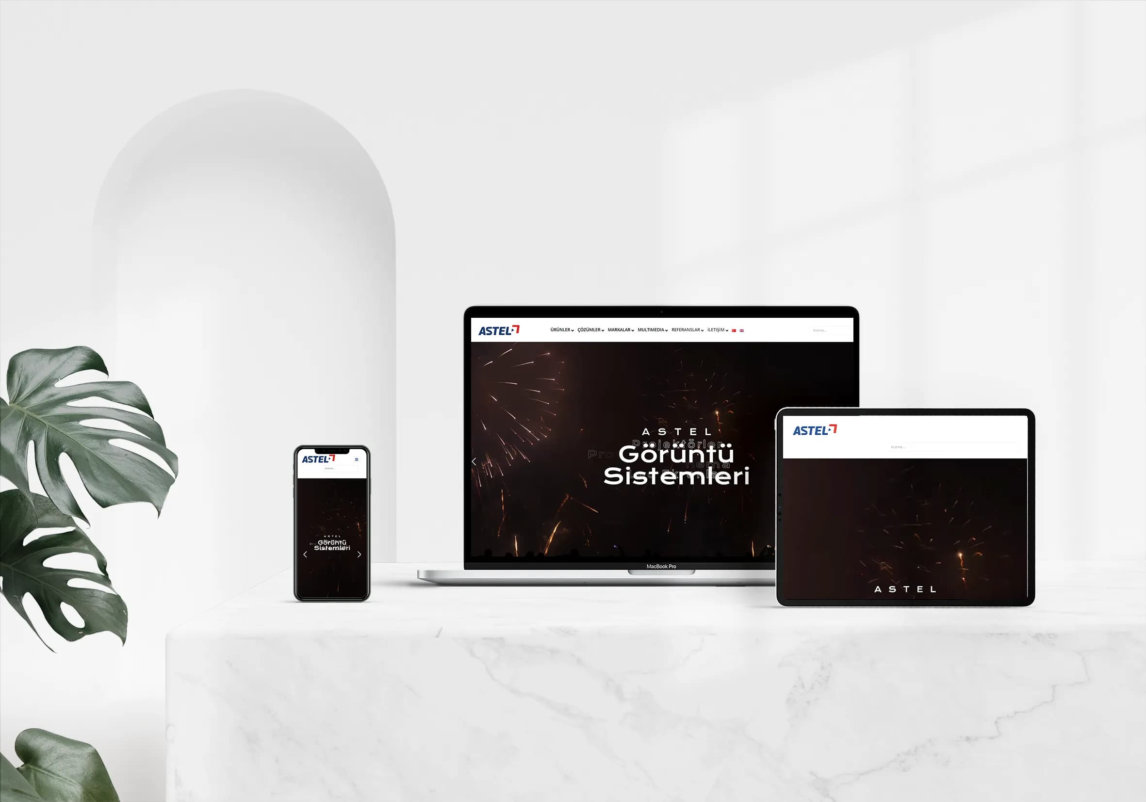 WordPress Headless Platform 02